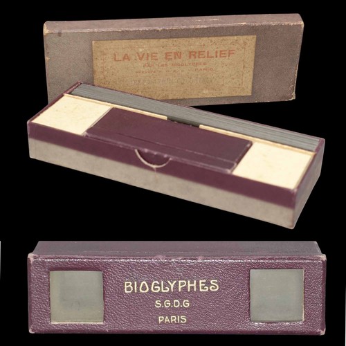 Bioglyphes vie en - bioglyphes, la