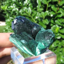 Minéraux *** CRISTAUX D'AZURITE Avec MALACHITE VELOUTÉE Sonore, Mexique