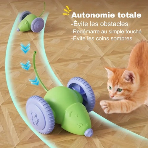 Souris électrique jouet chat - Électrique,