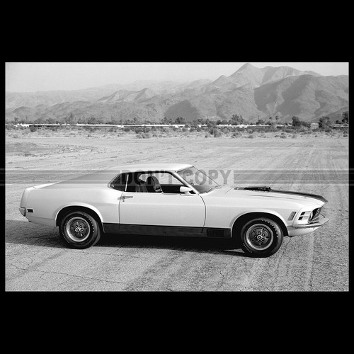 Photo 035170 ford mustang - photo,