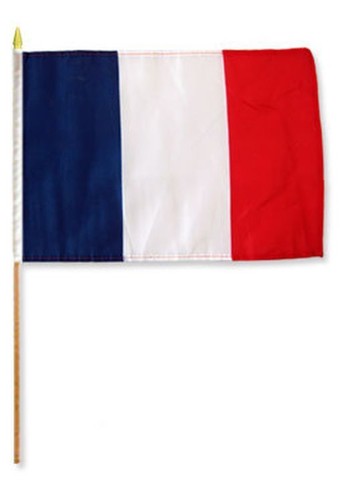 Drapeau france 45x30cm hampe - drapeau,