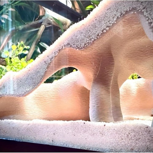 Aspect naturel aquarium