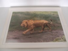 ANCIENNE PLANCHE AFFICHE