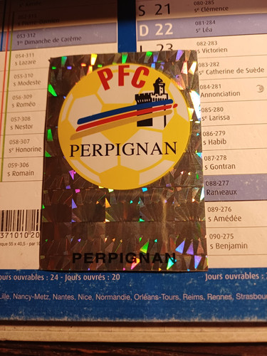 écusson panini foot 95 - 1,