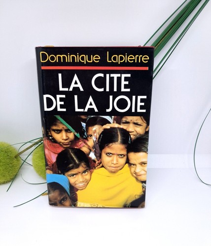 Livre dominique lapierre - livre,