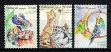 Malaisie 2023 pets cat - pets, fish