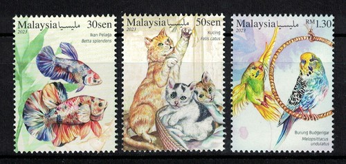 Malaisie 2023 pets cat fish - pets, (cat,