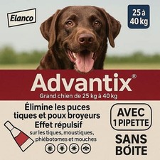 Antiparasitaire grand chien - antiparasitaire,