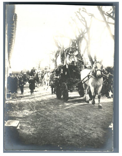 France carnaval chars - carnaval.,