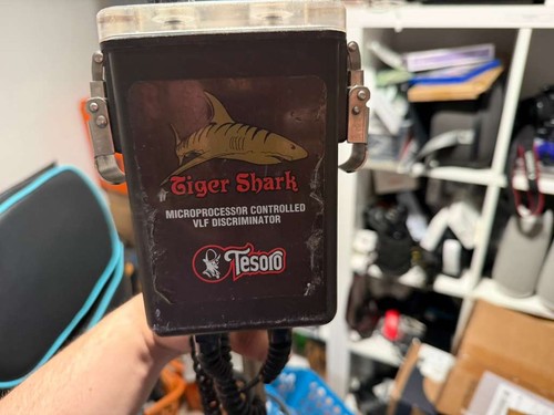 Tesoro tiger shark underwater - tiger,
