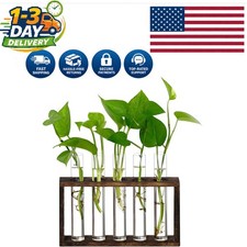 Lightweight Wooden Plant