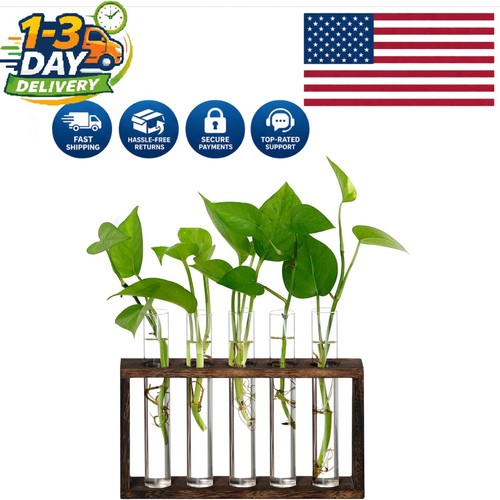 Lightweight wooden plant - lightweight,