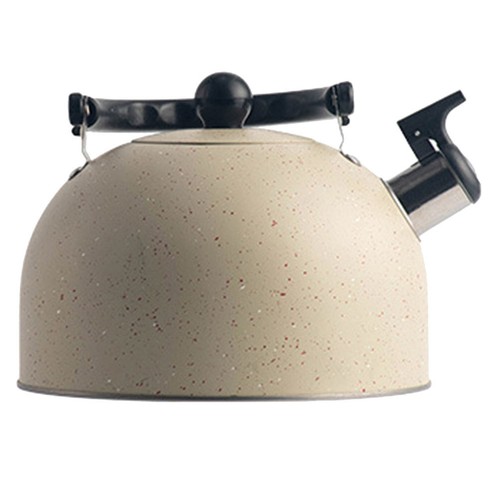 Bouilloire sifflante acier - bouilloire, en
