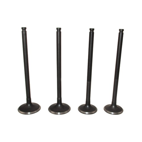 Intake exhaust valves for - intake,