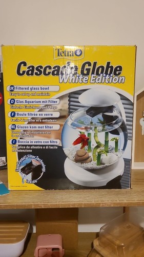 Aquarium globe tetra - globe,
