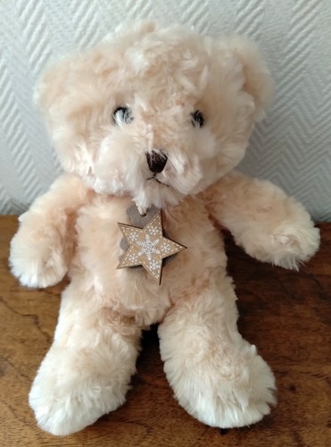 Histoire ours jolie peluche - histoire,