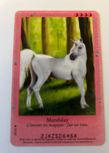 C93 carte bella - bella, sara