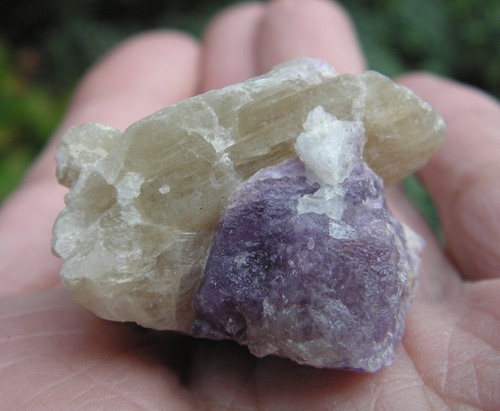 Sodalite var hackmanite - -, var.