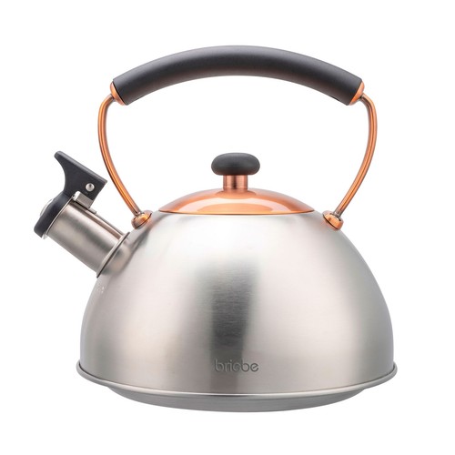 Bouilloire induction - bouilloire,