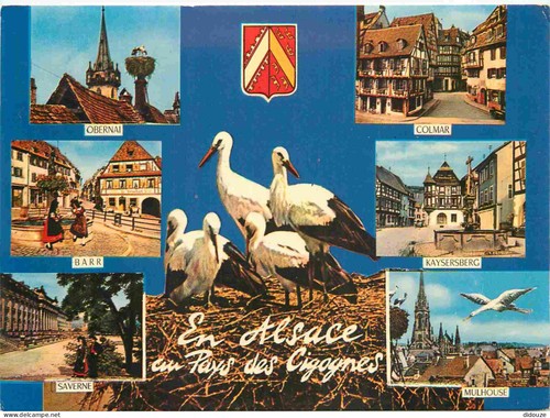 Carte postale alsace - carte, 67