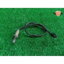 Sonda lambda Triumph Scrambler 900 2006 2017