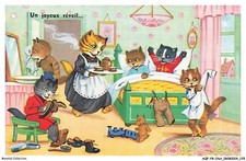 AQFP8-0570-CHAT - un joyeux reveil