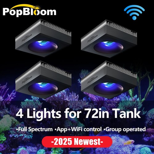 4pcs popbloom marine - 4pcs,