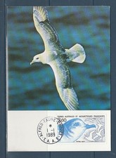 TAAF FSAT carte  oiseau pétrel bleu Alfred Faure Crozet   num 142 de 1989