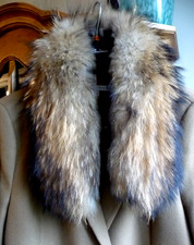 GRAND COL EN FOURRURE de RATON LAVEUR RACCOON D'ELEVAGE