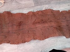 python serpent peau - afrique savane - congo bénin congo taxidermie -