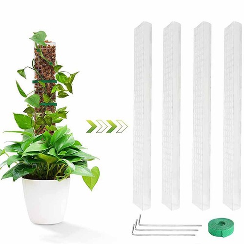 Kit plantes grimpantes - de,