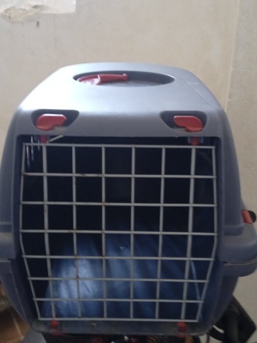 Caisse transport pour chat - caisse,