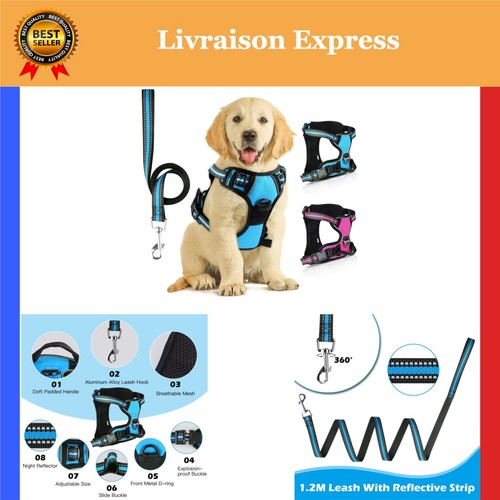 Harnais chien anti traction - chien,