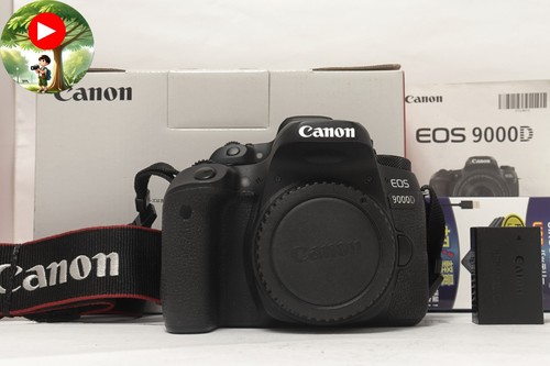 Appareil photo numérique
