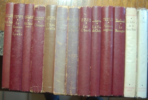 Lot livres reliés - lot, 13
