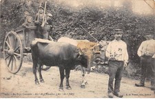 22 - LA CREUSE - SAN63978 - Au Pays Creusois - Agriculture - Charette à Boeuf