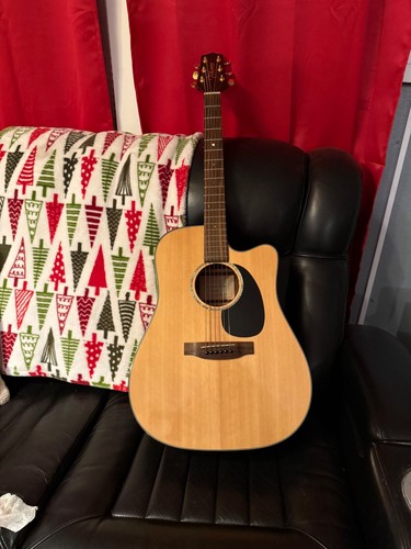 Takamine series eg340c - g,