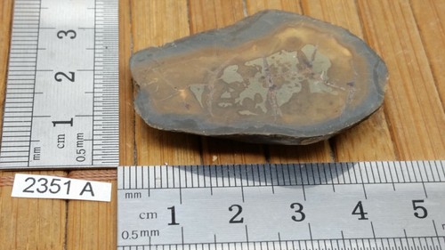 Moitié nodule septaria - nodule,