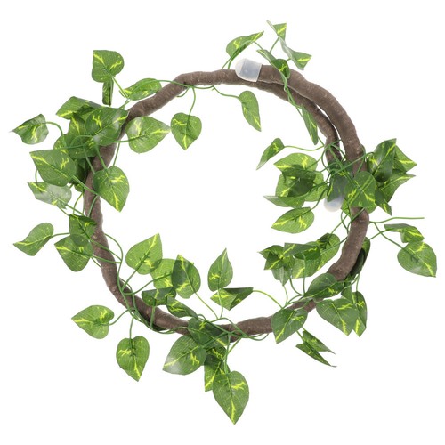 Décoration terrarium - décoration,