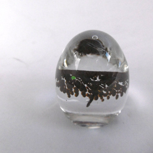 Sulfure boule verre - sulfure, presse