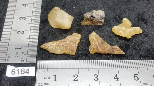 Amber lot - amber, rep)
