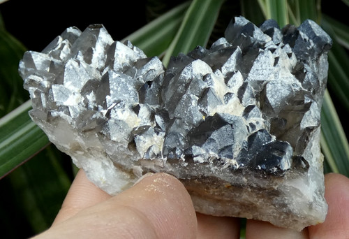 Quartz fumé morion neigé - fumé,