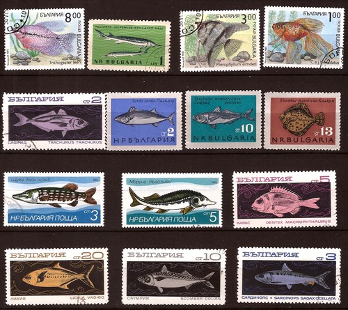 Bulgarie poissons sea - bulgarie,