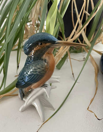 Oiseau martin pêcheur - martin,