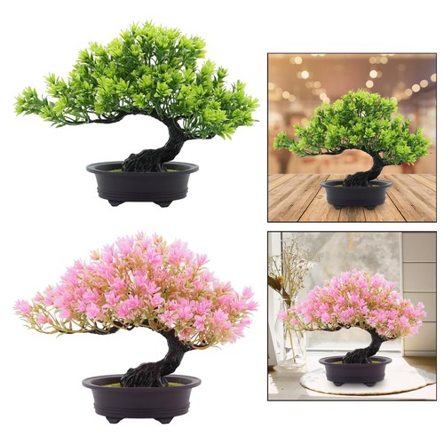 Plantes artificielles - , de