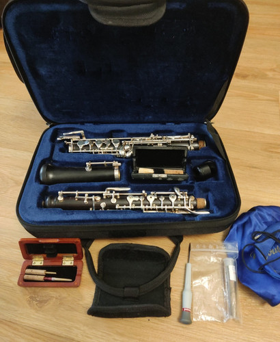 Hautbois rigoutat delphine - hautbois,