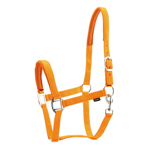 Harnais nylon pour - nylon, chevaux