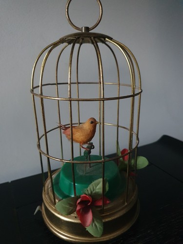 Cage oiseaux musical en - À,