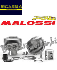 12369 Cylindre Malossi Sport