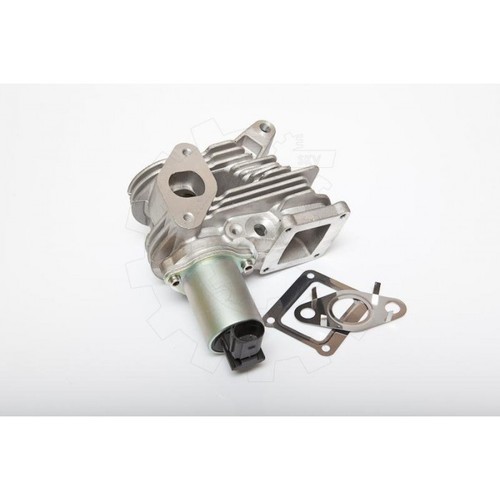 Egr valves for renault - egr, megane